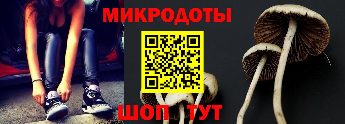 Псилоцибиновые грибы Cubensis  Вход с VPN  Сланцы 